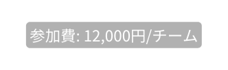 参加費 12 000円 チーム